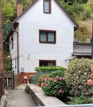 Ferienhaus Anna Altstadt Von 조네베르크 외부 사진