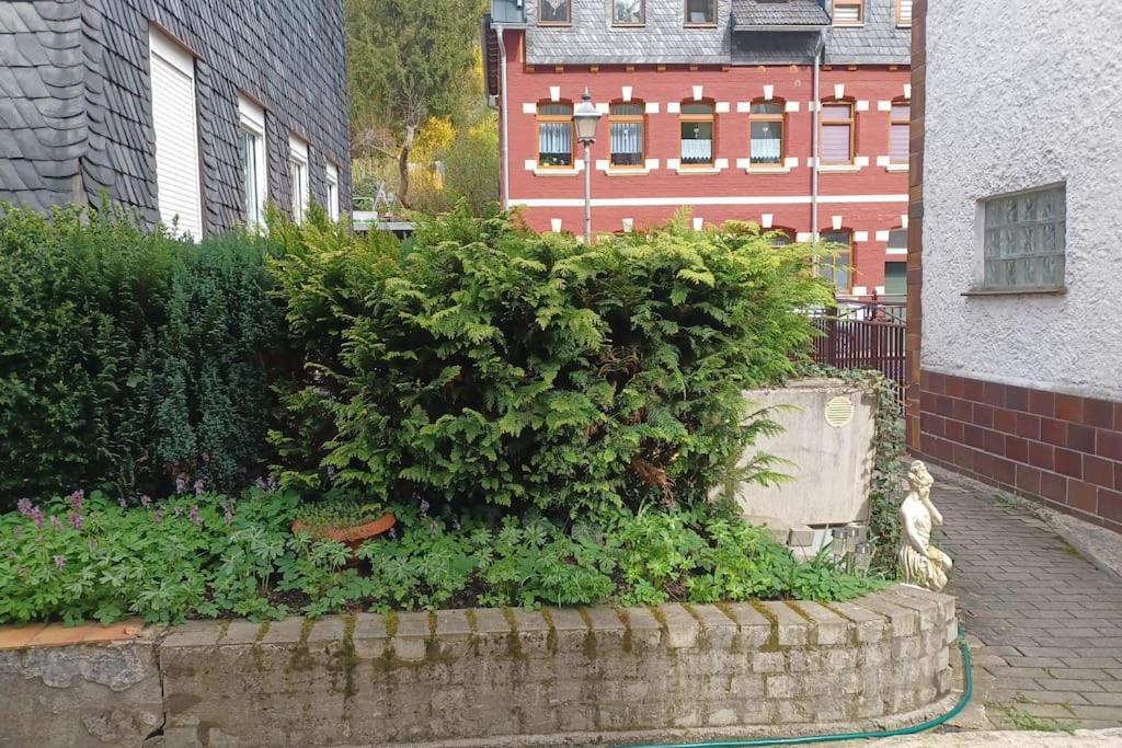Ferienhaus Anna Altstadt Von 조네베르크 외부 사진