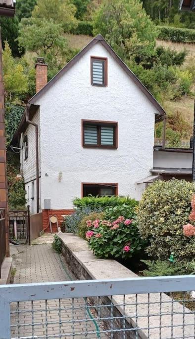 Ferienhaus Anna Altstadt Von 조네베르크 외부 사진